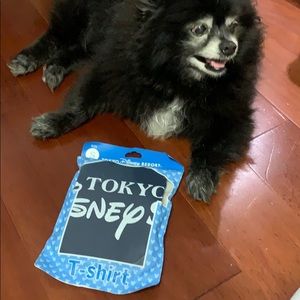 Tokyo Disney Sea T Shirt